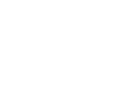 wexford county council logo