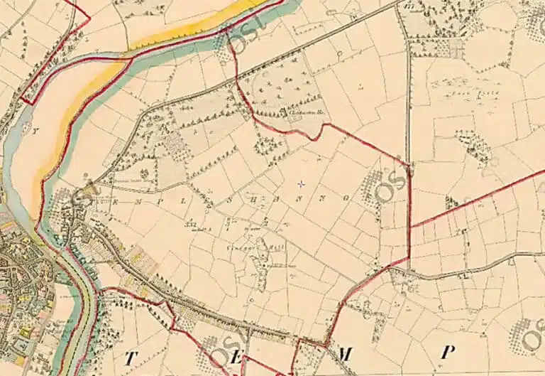 Historic Ordnance Survey map showing fields, roads and the River Slaney near Enniscorthy, with coloured boundaries and detailed landscape features.